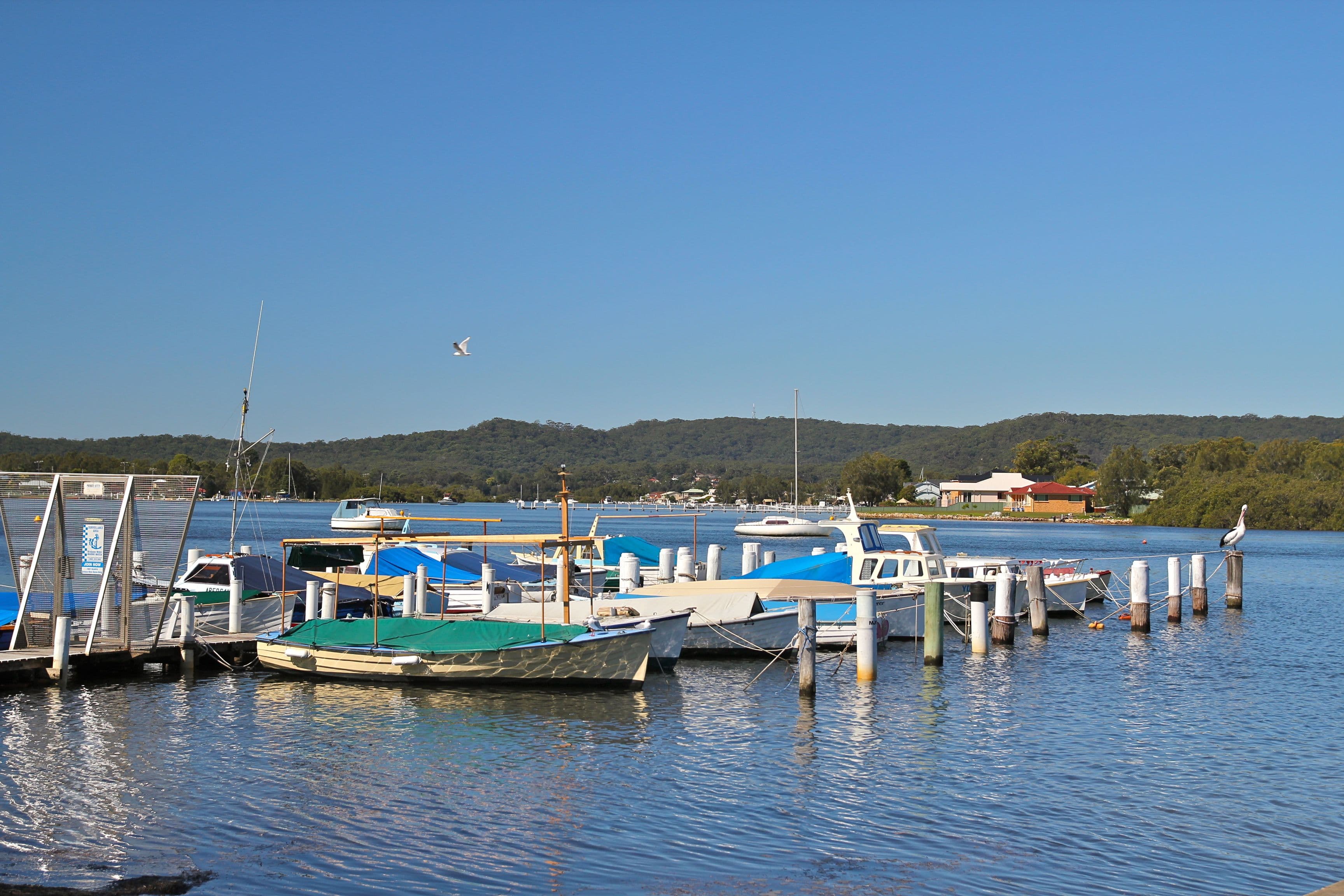 2 Mirreen Avenue, DAVISTOWN NSW 2251, Davistown - Thumbnail 7