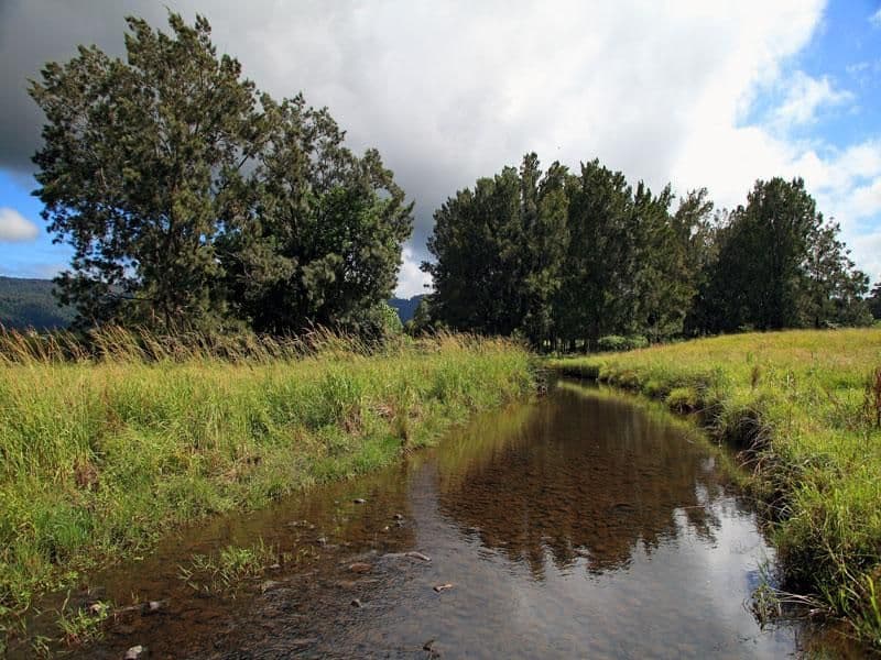 CAMBEWARRA NSW 2540, Cambewarra - Thumbnail 2