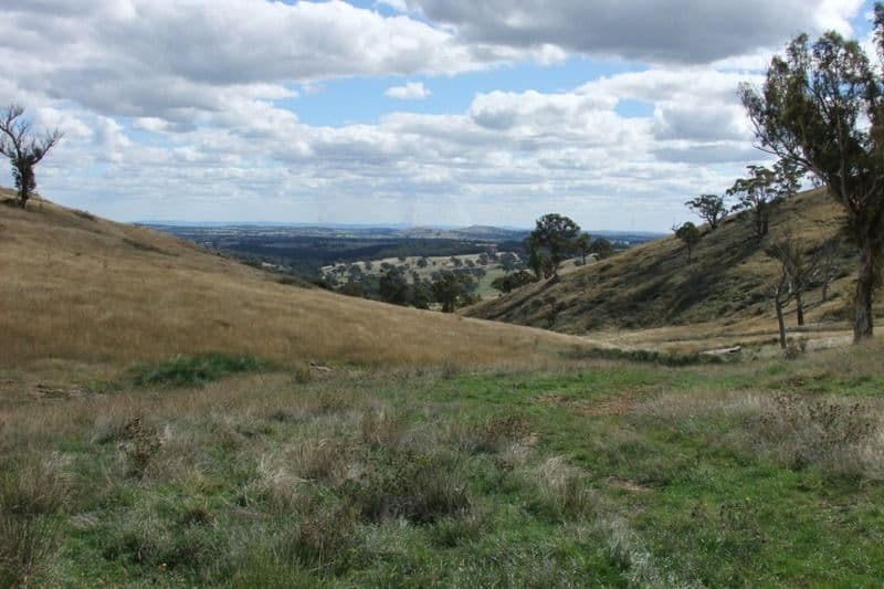 397 Gallymont Road, BLAYNEY NSW 2799, Blayney - Thumbnail 6