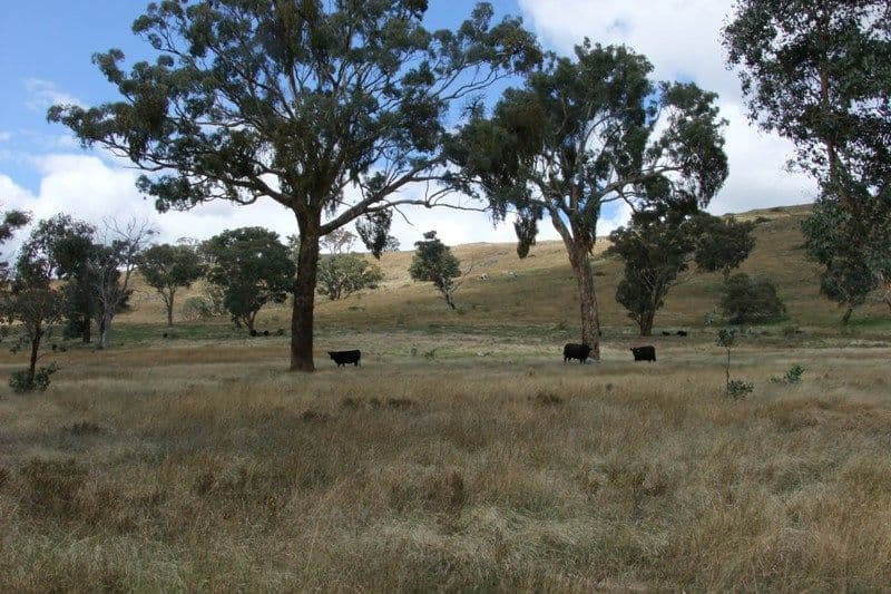 397 Gallymont Road, BLAYNEY NSW 2799, Blayney - Thumbnail 2
