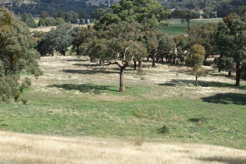397 Gallymont Road, BLAYNEY NSW 2799, Blayney - Thumbnail 4