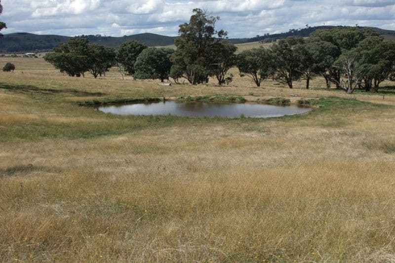 397 Gallymont Road, BLAYNEY NSW 2799, Blayney - Thumbnail 7