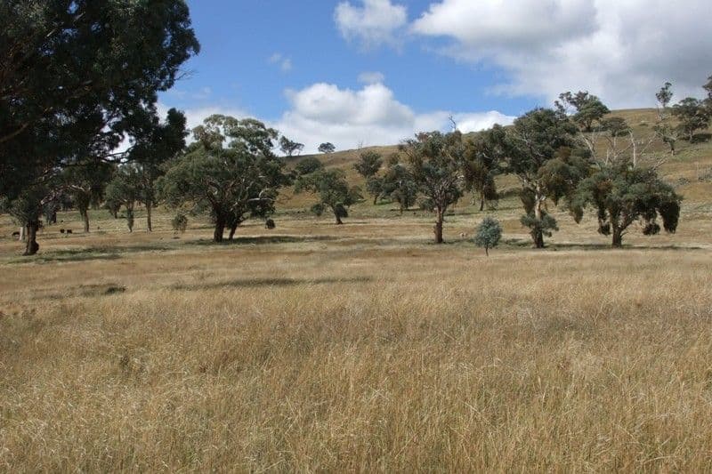 397 Gallymont Road, BLAYNEY NSW 2799, Blayney - Image 1