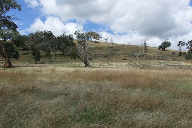 397 Gallymont Road, BLAYNEY NSW 2799, Blayney - Thumbnail 3