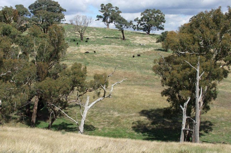 397 Gallymont Road, BLAYNEY NSW 2799, Blayney - Thumbnail 5