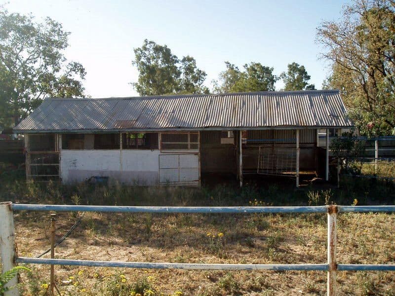 107 Watson Street, CHARLEVILLE QLD 4470, Charleville - Thumbnail 8