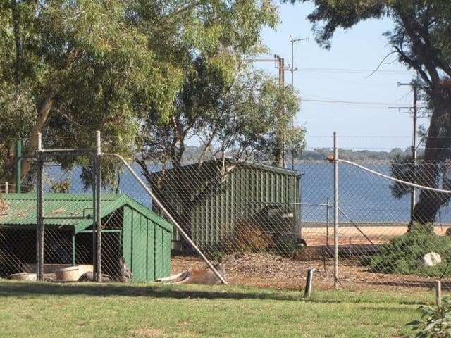 U7 Bert Ayling Bonneyview Village, BARMERA SA 5345, Barmera - Thumbnail 7