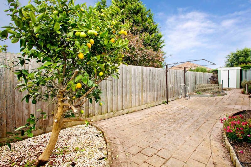 4 Lucy Court, ST ALBANS PARK VIC 3219, St Albans Park - Thumbnail 7
