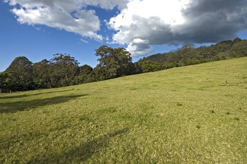 669 Jamberoo Mountain Road, JAMBEROO NSW 2533, Jamberoo - Thumbnail 8