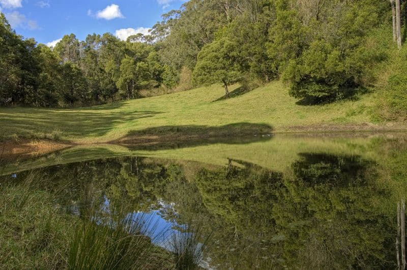 669 Jamberoo Mountain Road, JAMBEROO NSW 2533, Jamberoo - Image 1