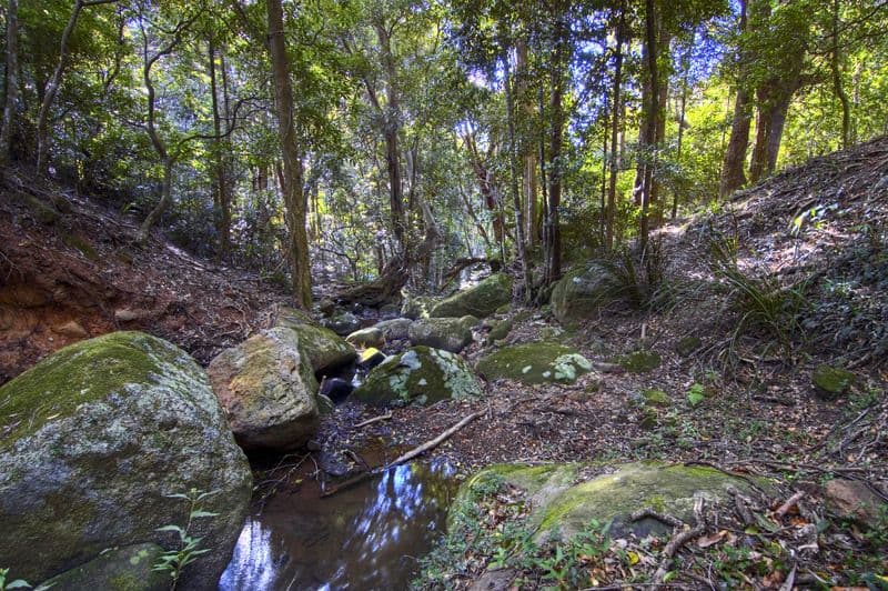 669 Jamberoo Mountain Road, JAMBEROO NSW 2533, Jamberoo - Thumbnail 5