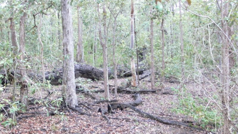ESK QLD 4312, Esk - Thumbnail 2