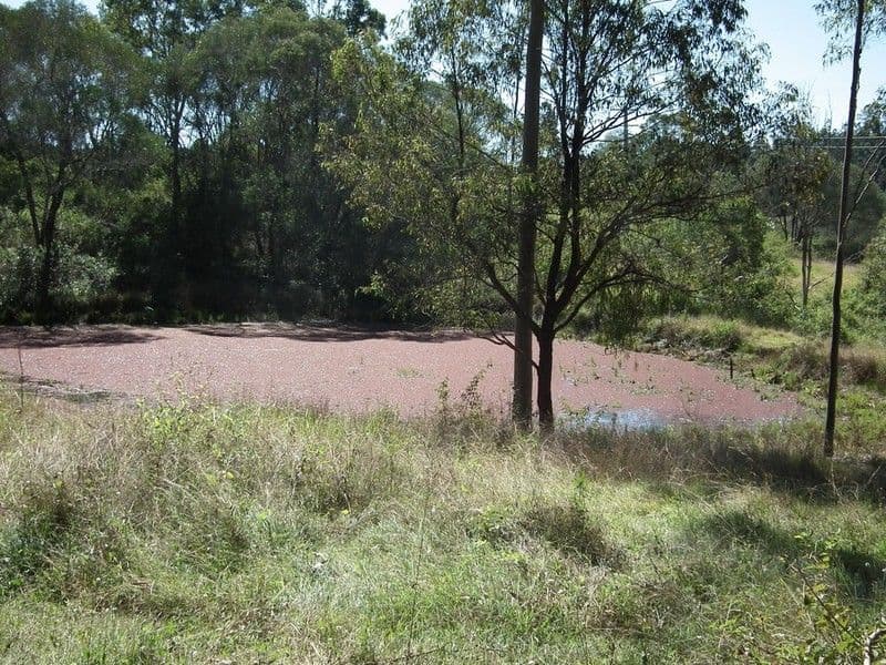 73 Hemmings Road, MARYBOROUGH QLD 4650, Maryborough - Thumbnail 3