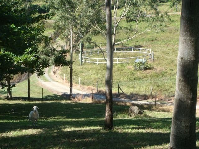 48 Gardiners Road, HABANA QLD 4740, Habana - Image 1