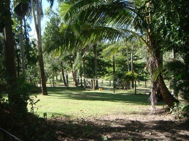 48 Gardiners Road, HABANA QLD 4740, Habana - Thumbnail 4