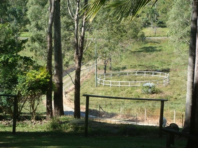 48 Gardiners Road, HABANA QLD 4740, Habana - Thumbnail 2