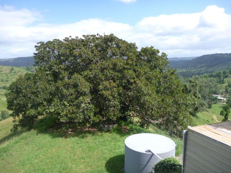 WOODFORD QLD 4514, Woodford - Thumbnail 8