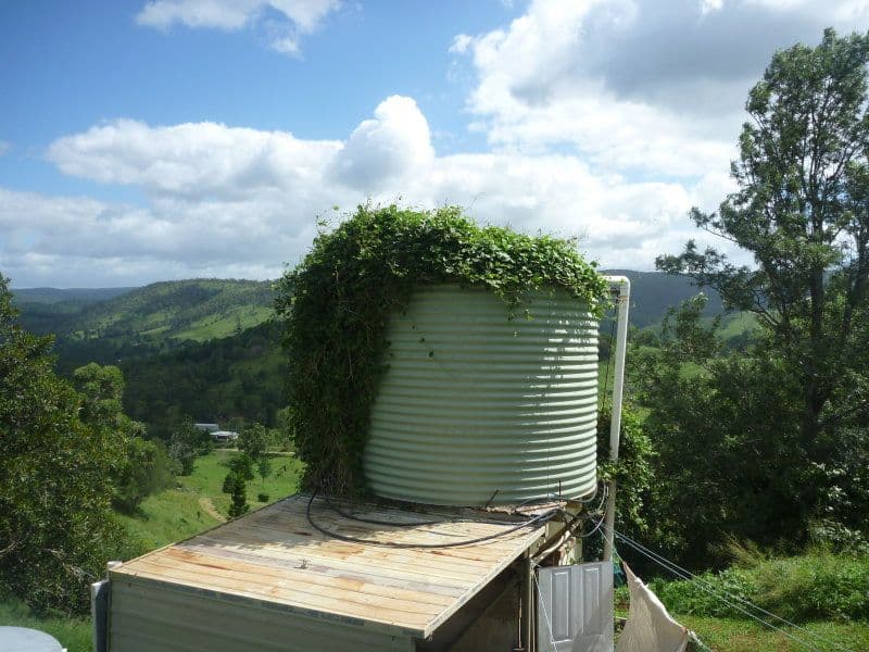 WOODFORD QLD 4514, Woodford - Thumbnail 5