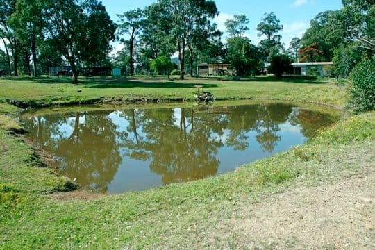 583 Glen William Road, GLEN WILLIAM NSW 2321, Glen William - Thumbnail 4