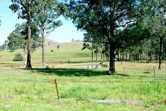 583 Glen William Road, GLEN WILLIAM NSW 2321, Glen William - Thumbnail 3