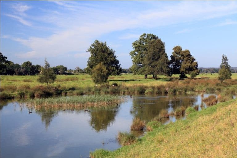 TERARA NSW 2540, Terara - Thumbnail 5