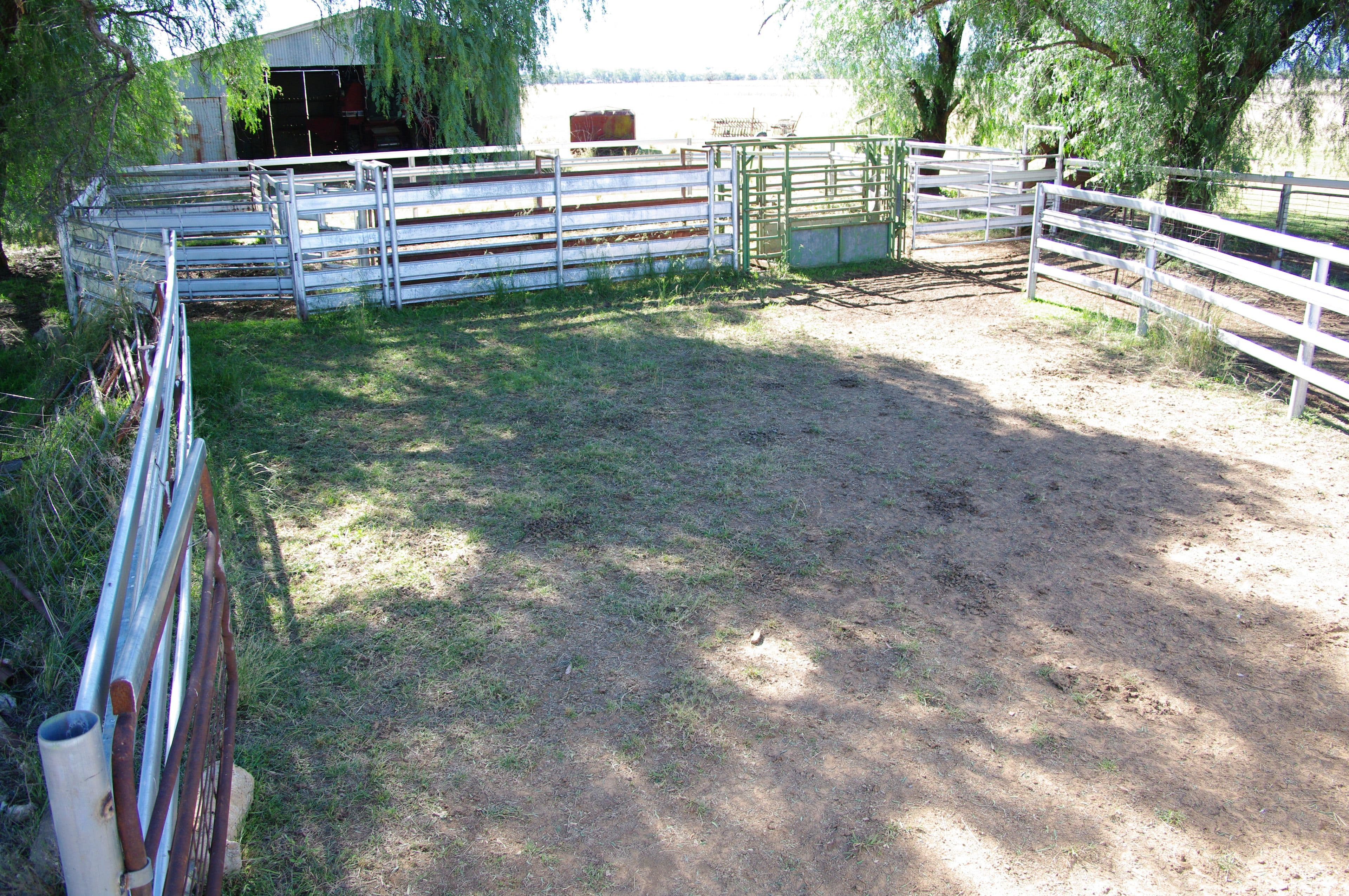 247 Gidley Appleby Road, TAMWORTH NSW 2340, Tamworth - Thumbnail 6