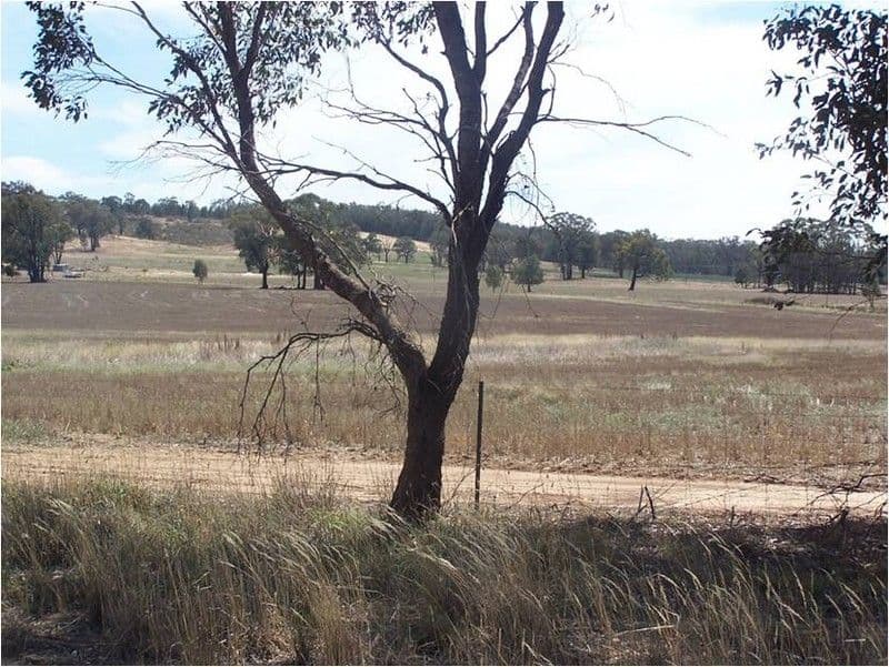  (Drambles) 35 Porters Lane, SPRINGDALE NSW 2666, Springdale - Thumbnail 4