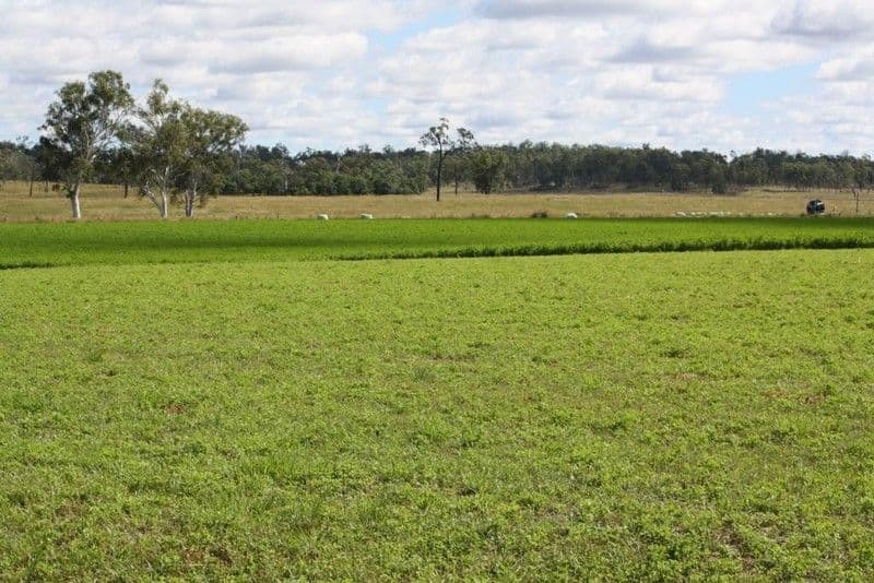 MUNDUBBERA QLD 4626, Mundubbera - Thumbnail 5