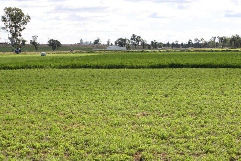 MUNDUBBERA QLD 4626, Mundubbera - Thumbnail 2