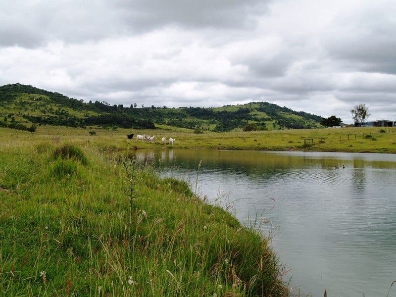 17 Mount Berryman Road, BLENHEIM QLD 4341, Blenheim - Thumbnail 3