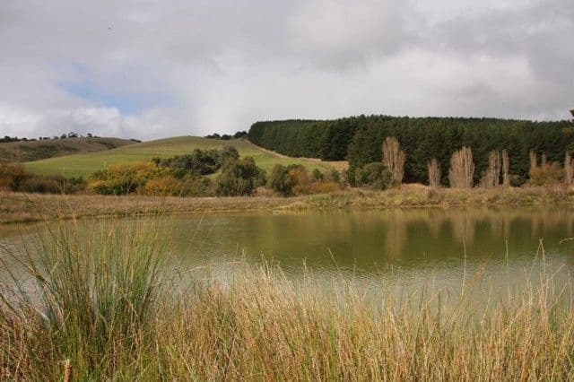 Lot 3 Adelaide-Goolwa Road, BULL CREEK SA 5157, Bull Creek - Thumbnail 2