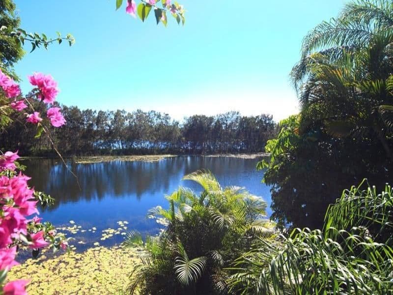 11 Montserrat Court, CLEAR ISLAND WATERS QLD 4226, Clear Island Waters - Thumbnail 2