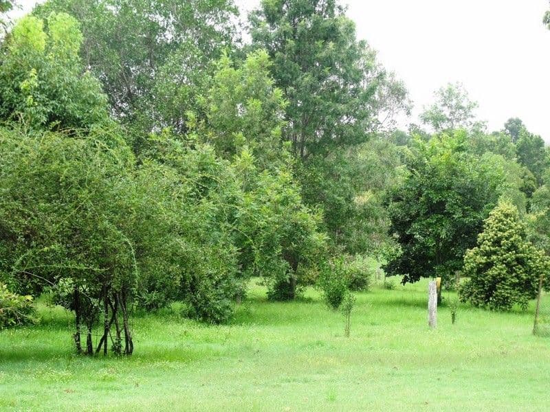 NANANGO QLD 4615, Nanango - Thumbnail 4