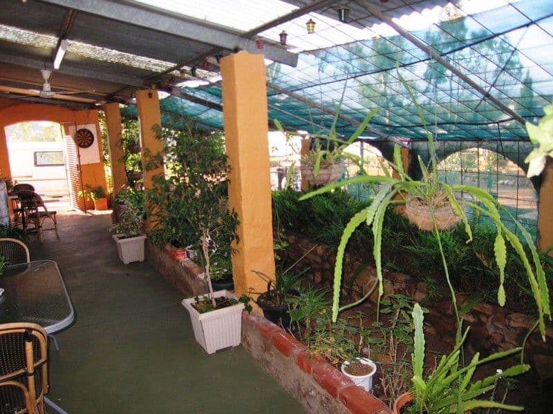 66 Georgiana Street, YORK WA 6302, York - Thumbnail 7