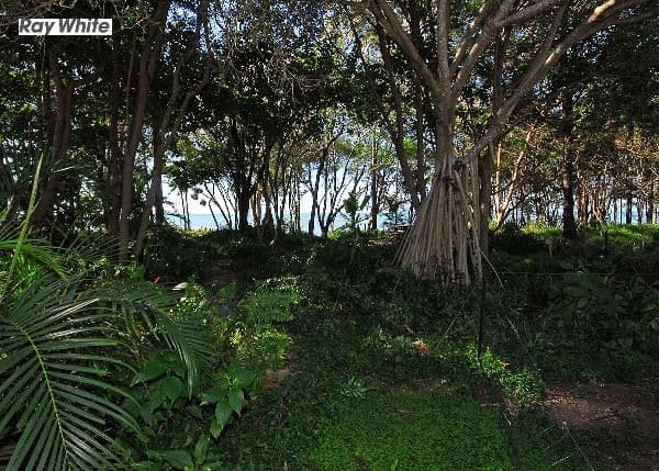 84 Kingfisher Parade, TOOGOOM QLD 4655, Toogoom - Thumbnail 6