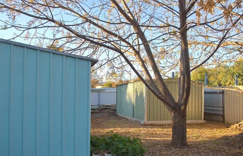 222 Myall Street, DUBBO NSW 2830, Dubbo - Thumbnail 6