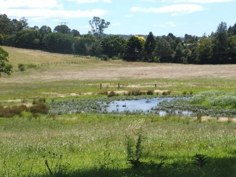 154 Hawdons Road, MORUYA NSW 2537, Moruya - Thumbnail 6