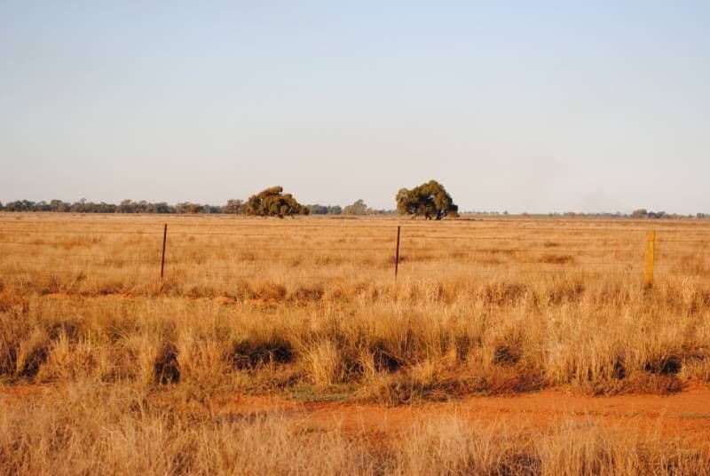 Barber Road, BENEREMBAH NSW 2680, Benerembah - Thumbnail 4