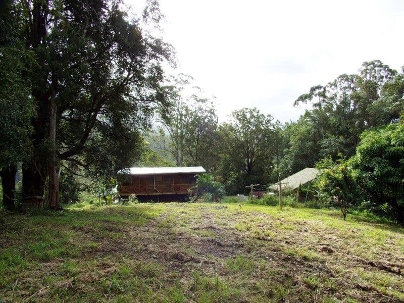 651 Dairyville Road, UPPER ORARA NSW 2450, Upper Orara - Thumbnail 6