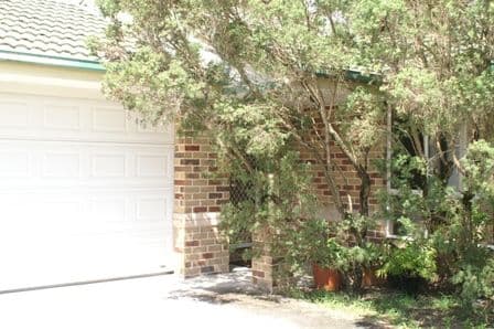 49  Leviathan Drive, MUDGEERABA QLD 4213, Mudgeeraba - Thumbnail 6