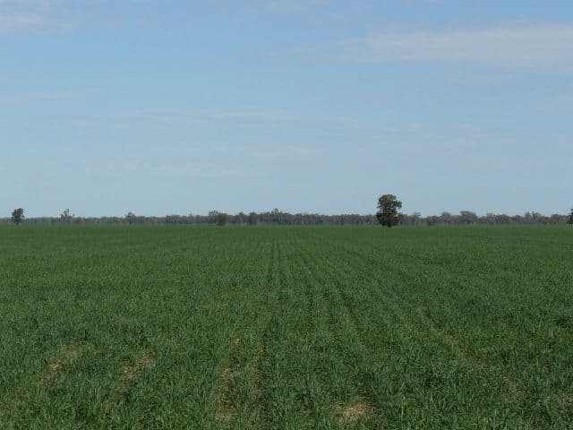 8 Presbury Road, MUNGINDI NSW 2406, Mungindi - Thumbnail 6