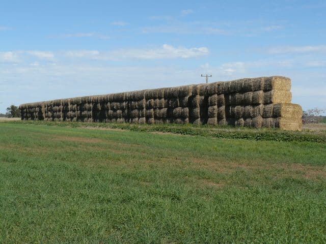 8 Presbury Road, MUNGINDI NSW 2406, Mungindi - Thumbnail 2