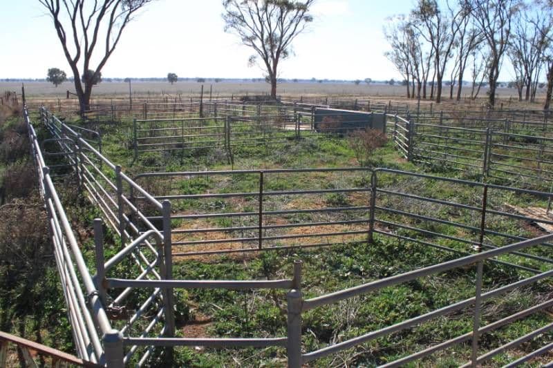 CONDOBOLIN NSW 2877, Condobolin - Thumbnail 6