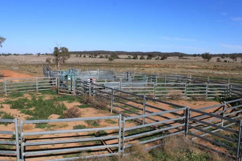 CONDOBOLIN NSW 2877, Condobolin - Thumbnail 4