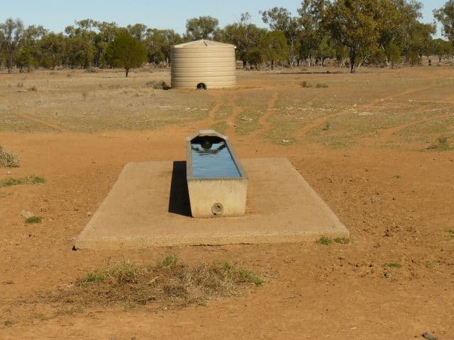 67 Baradine-Collarenebri Road, COLLARENEBRI NSW 2833, Collarenebri - Thumbnail 5