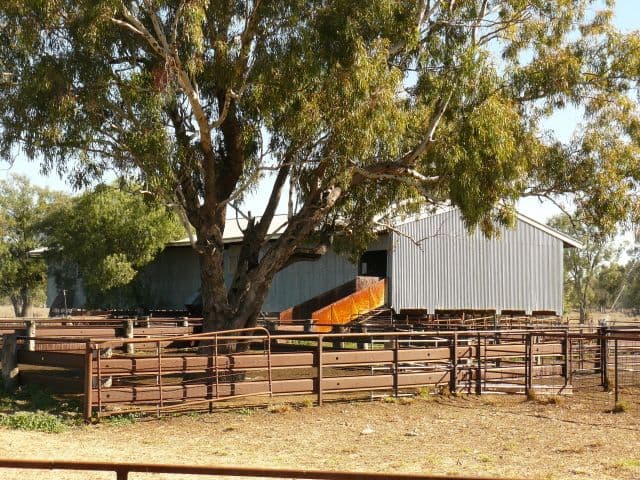 67 Baradine-Collarenebri Road, COLLARENEBRI NSW 2833, Collarenebri - Thumbnail 3