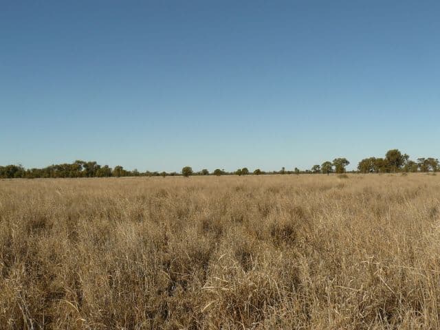 67 Baradine-Collarenebri Road, COLLARENEBRI NSW 2833, Collarenebri - Thumbnail 7