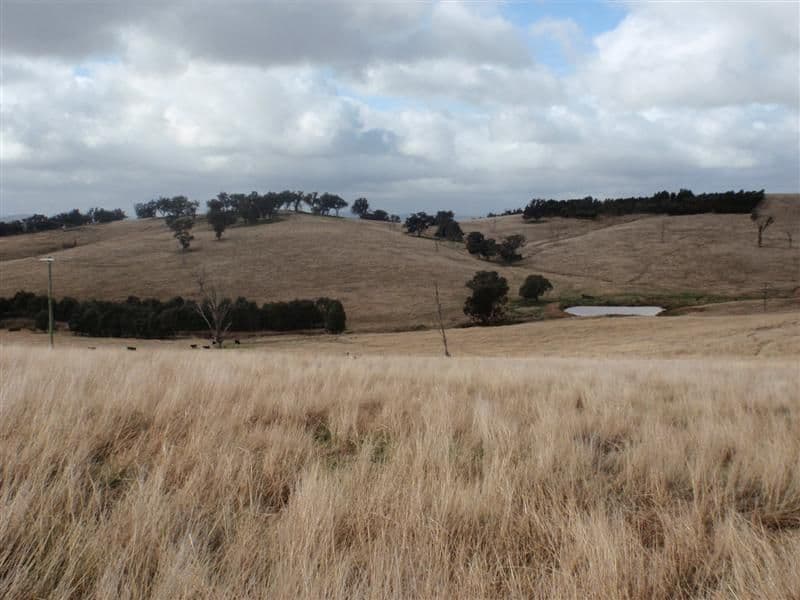 The Heights, Sturt Highway, WAGGA WAGGA NSW 2650, Wagga Wagga - Image 1
