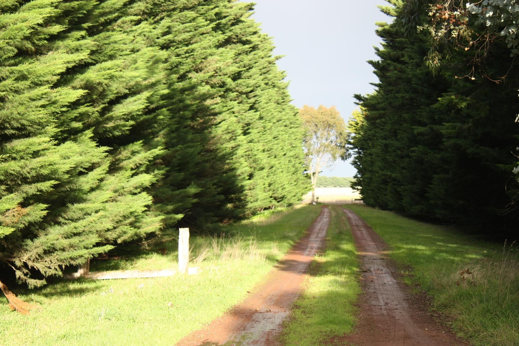 169 Caramut - Chatsworth Road, CARAMUT VIC 3274, Caramut - Thumbnail 2