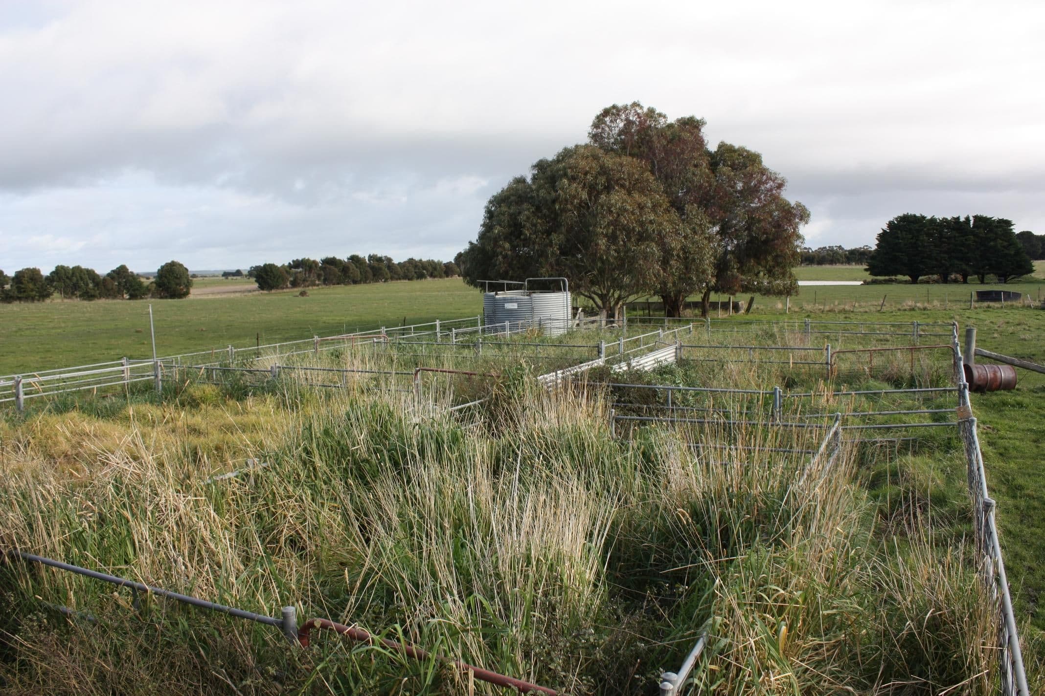 169 Caramut - Chatsworth Road, CARAMUT VIC 3274, Caramut - Thumbnail 4